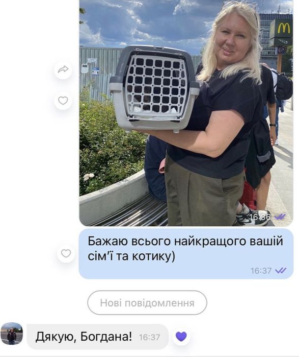 Перетримка тварин / документи для тварин / перевезення тварин