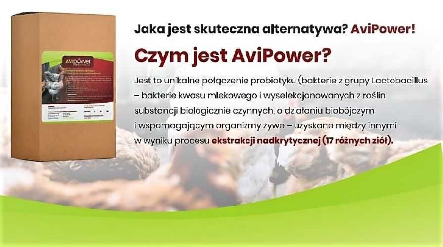 AviPower SPECTRUM FITOBIOTYK dla kur i brojlerów 1L 2084