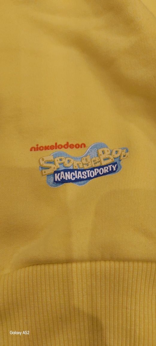 Bluza spogebob kanciastoporty