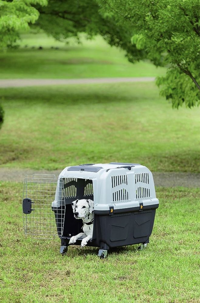 Caixa de Transporte Para Cães e Gatos - Skudo 3 Nobby Reise 3