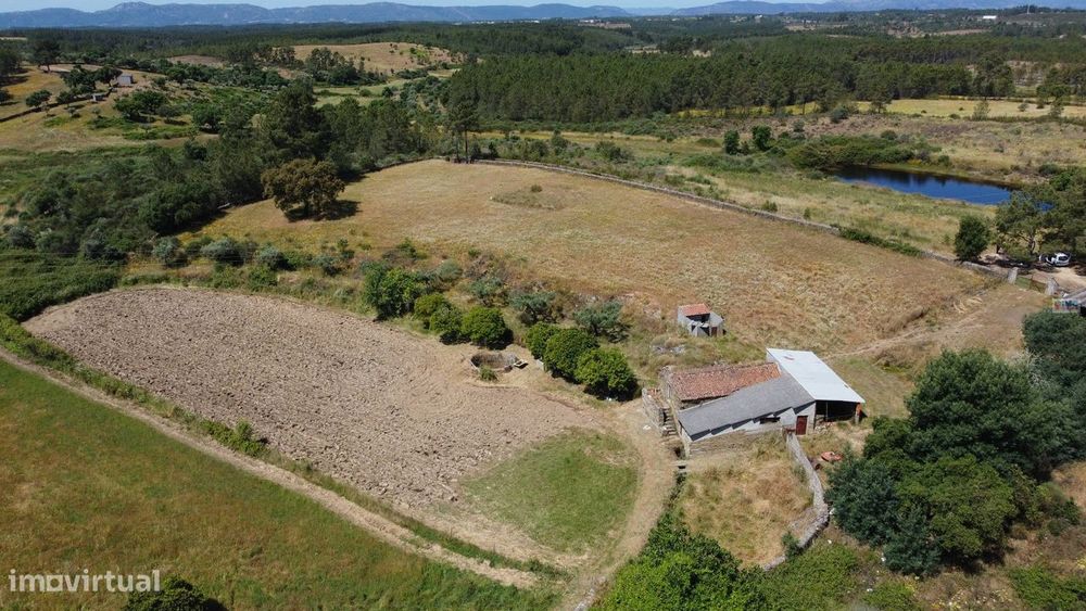 Quinta com casa para recuperar no Retaxo