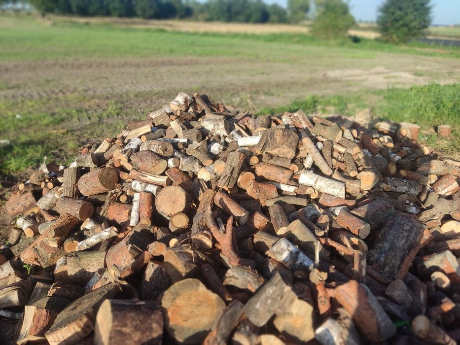 Sosns sprzedam drzewo opałowe