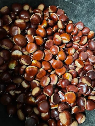 Castanhas de exelete qualidade