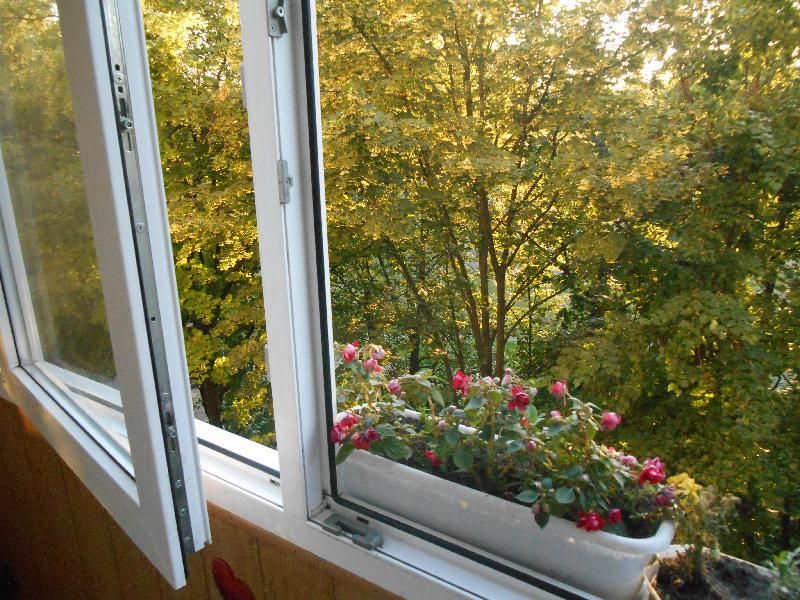 Рогань, Хтз, Індустриальна, Масельского 24 на 7