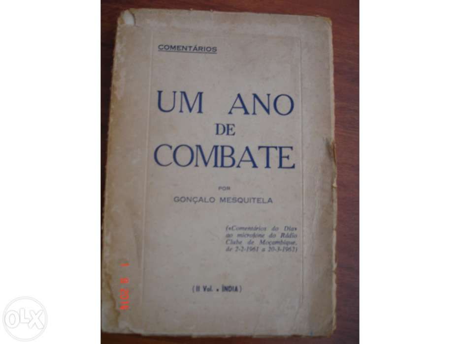 Um Ano de Combate