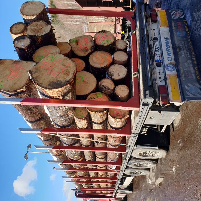 Świerk posusz suchar kornik Kłoda Dłużyca wałki drewno drzewo