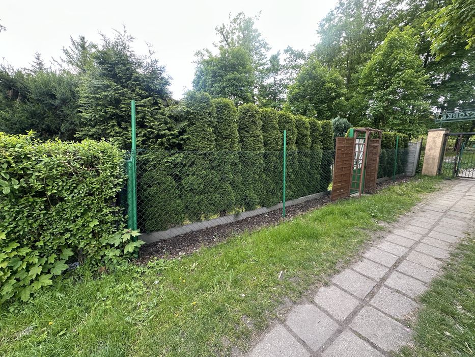 Ogródek działkowy ROD Wieczorek