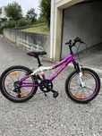 Bicicleta crianca roda 20 »