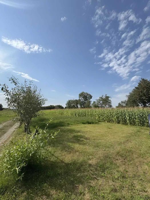 Ділянка 37 сот в с. Пійло