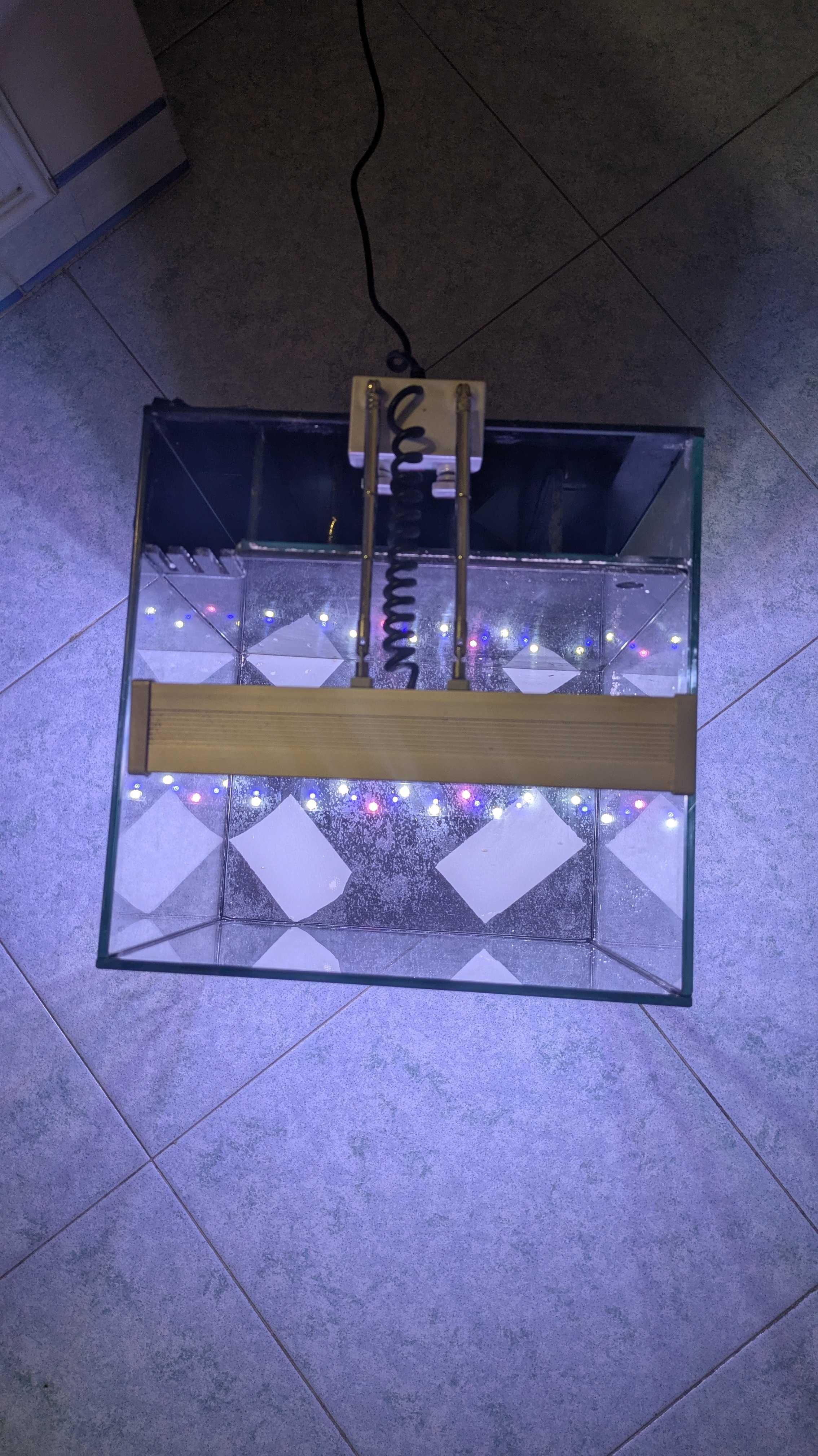 Aquario de salgada com luz