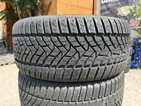 225/40 r18 Dunlop WinterSport 5 Резина зимняя