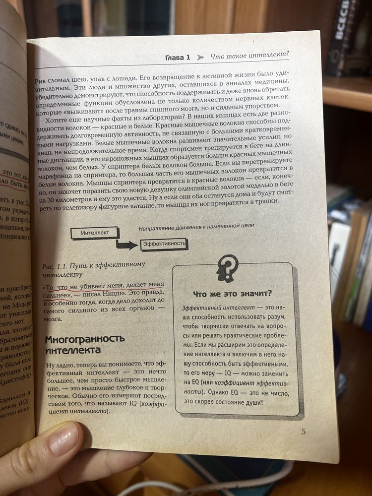 Как повысить свой интеллект . Пеллегрино Ричард