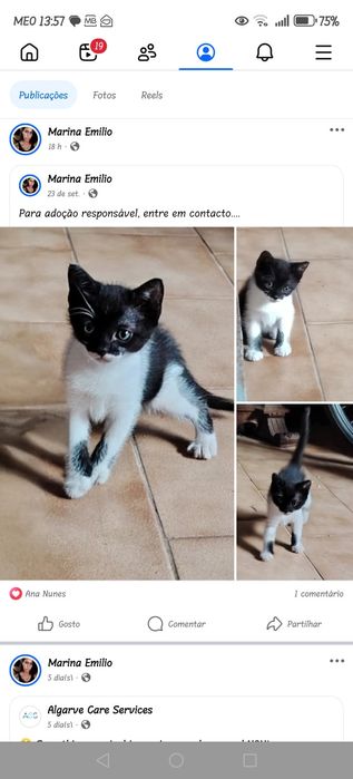 Adoção responsável