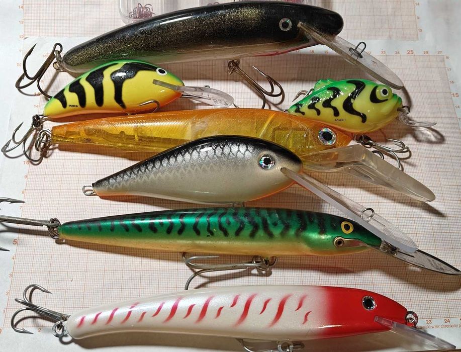 Zestaw na suma, dużego szczupaka, sandacza, trolling, salmo boxer GT