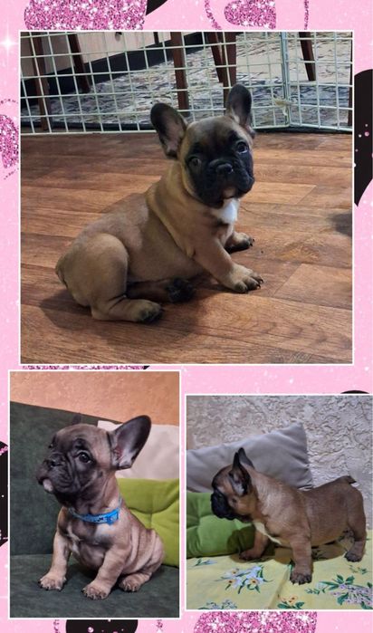 Реально міні хлопчик та дівчинка