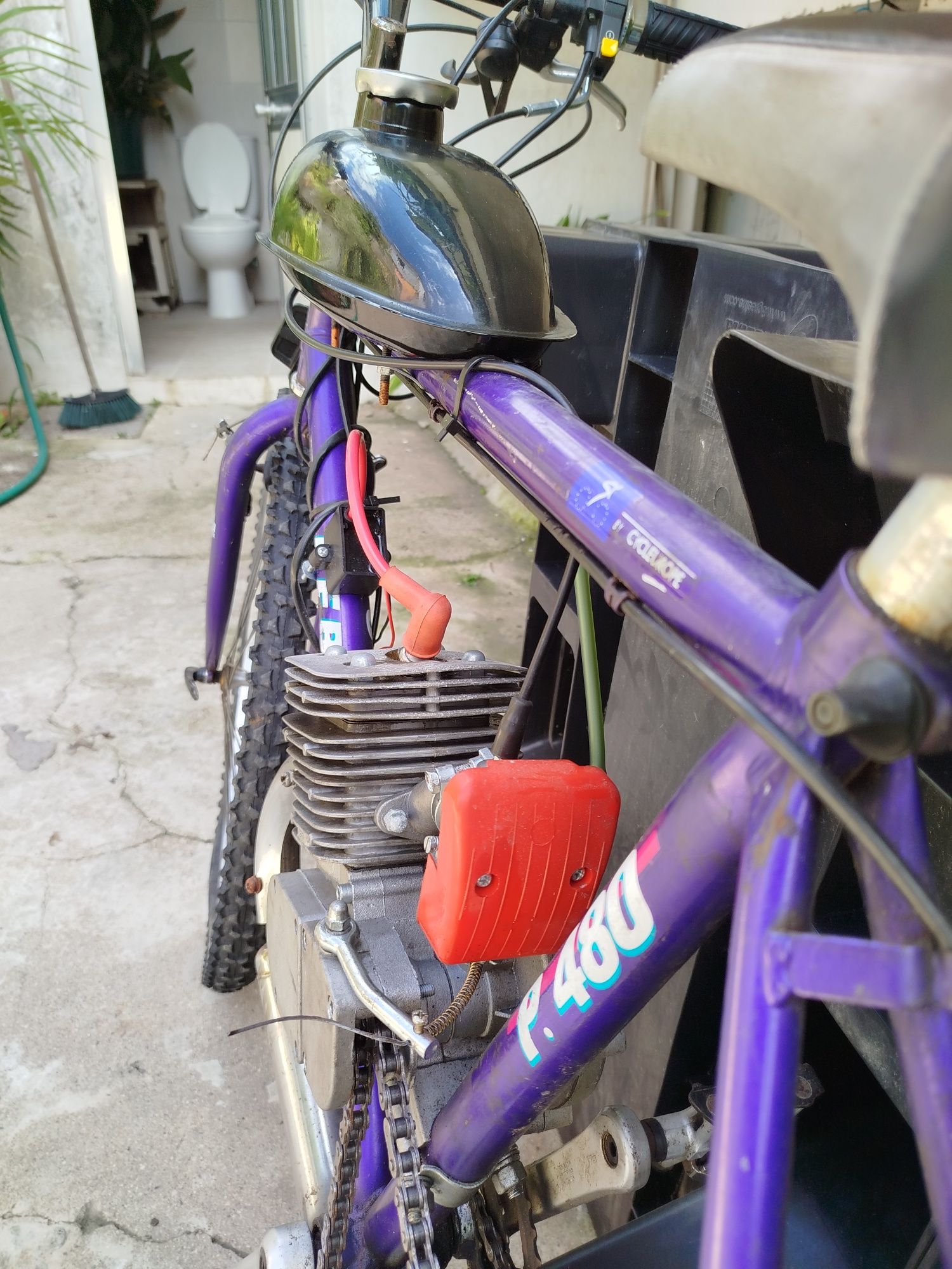 Bicicleta a motor(Bina)