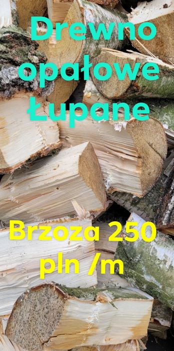 Brzoza drzewo opałowe