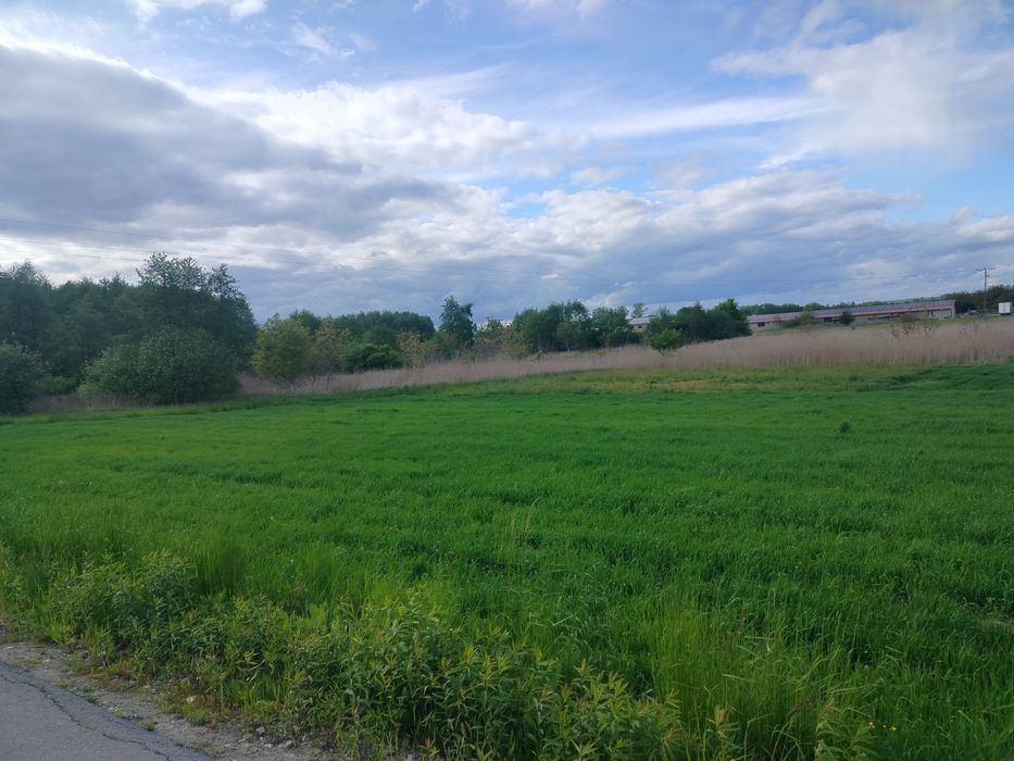 Działka 30 ar w Głuchowie koło Łańcuta