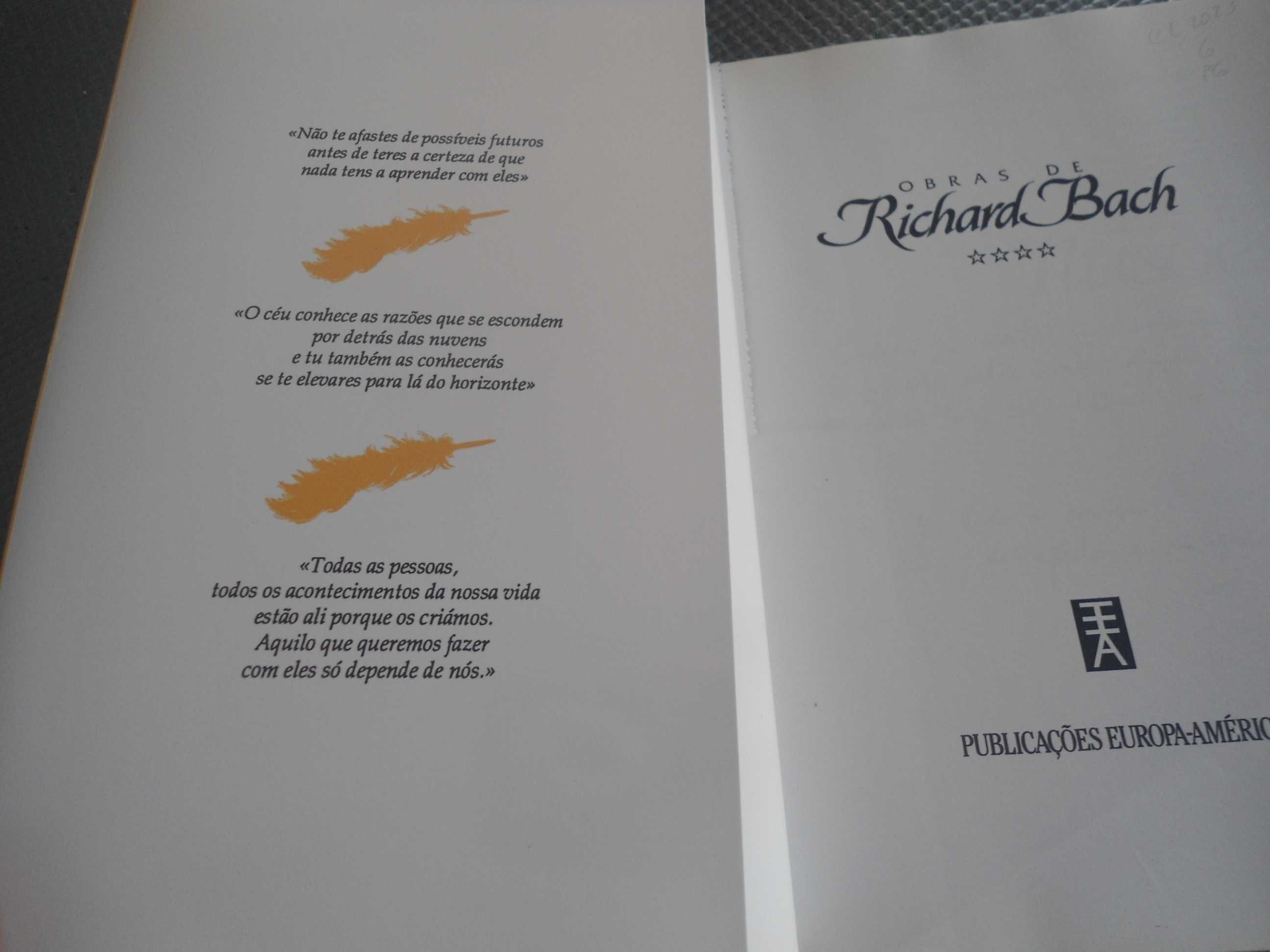 IIlusões por Richard Bach (envio grátis)