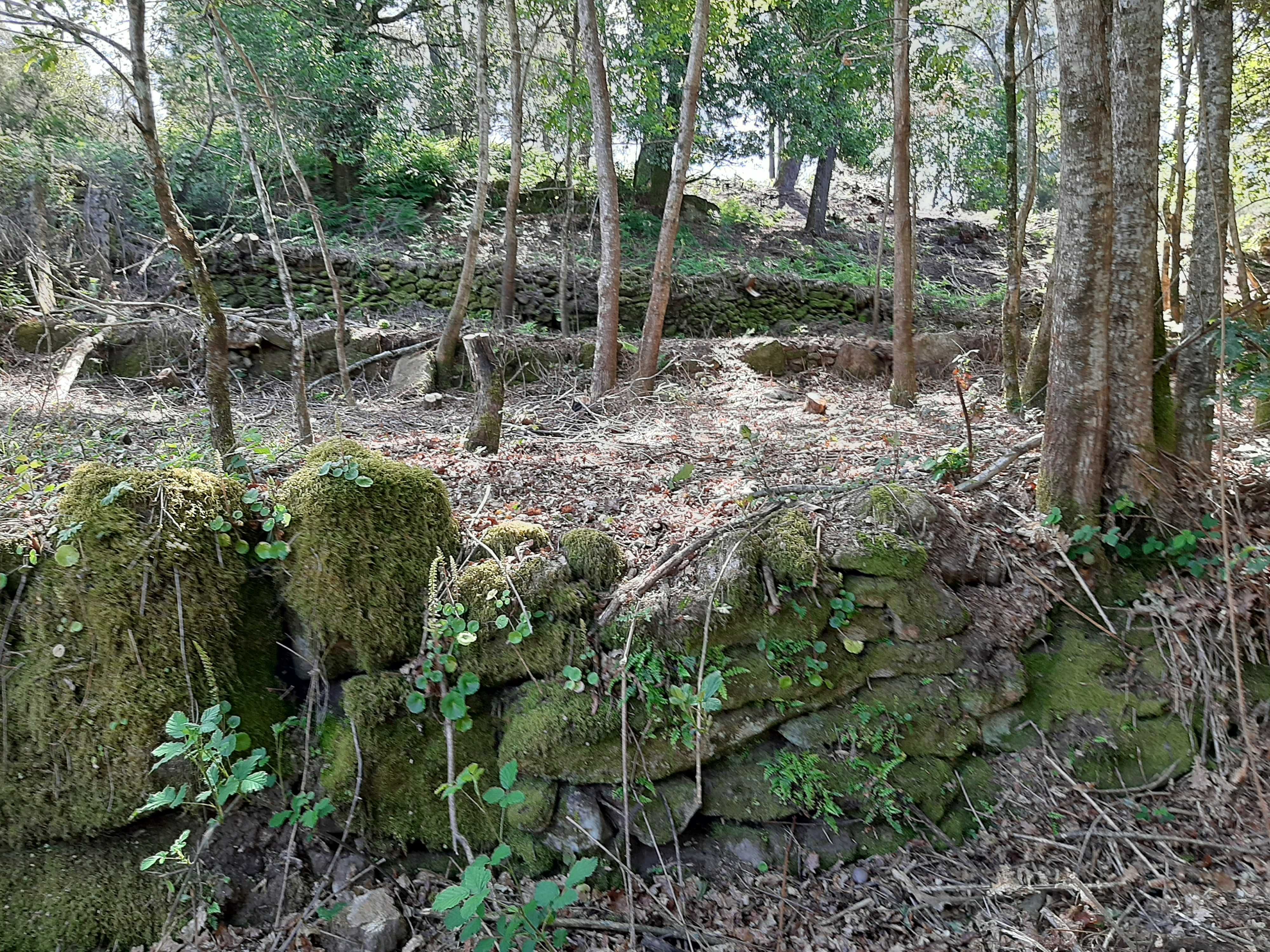 Terreno no Soajo