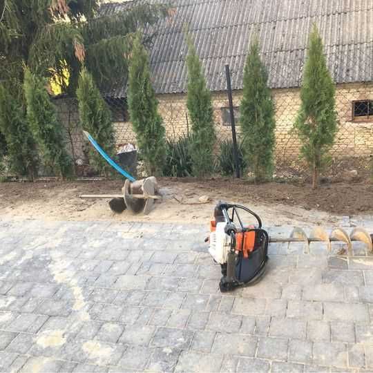 Sadzenie, nasadzenie Tuja Szmaragd 2zł/L