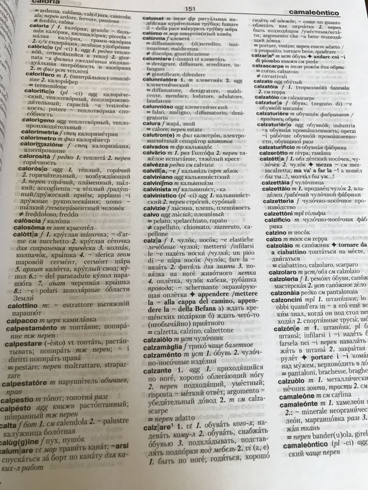 | Новый большой итальянско-русский словарь |