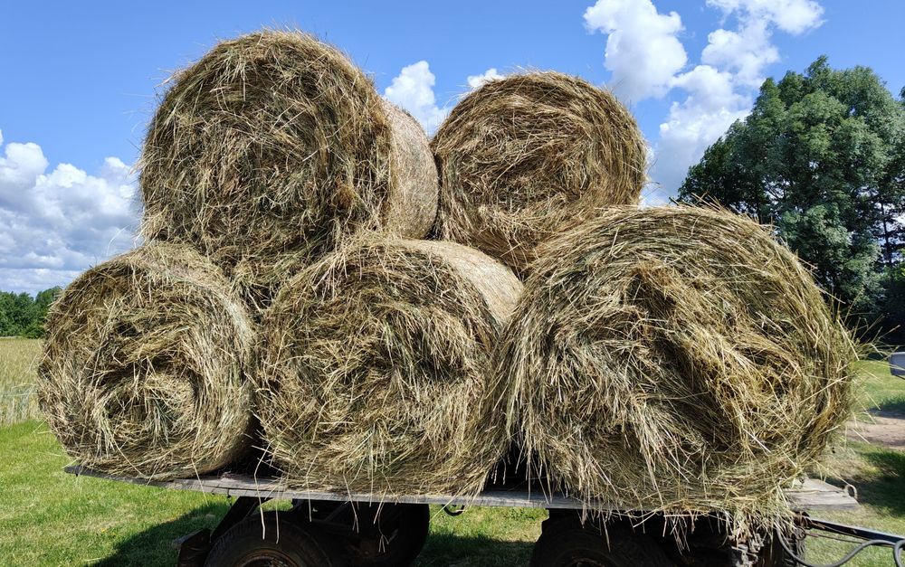Sprzedam siano w belach