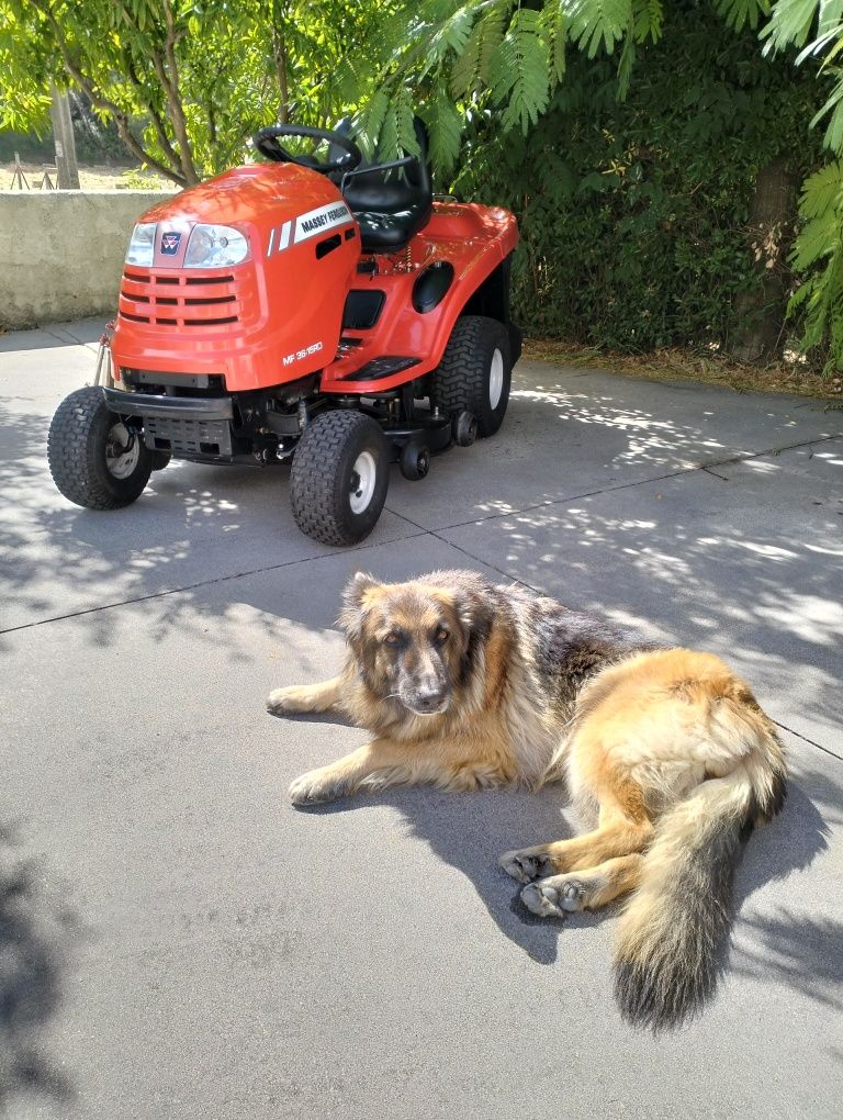 Trator corta relva  15cv semi-novo