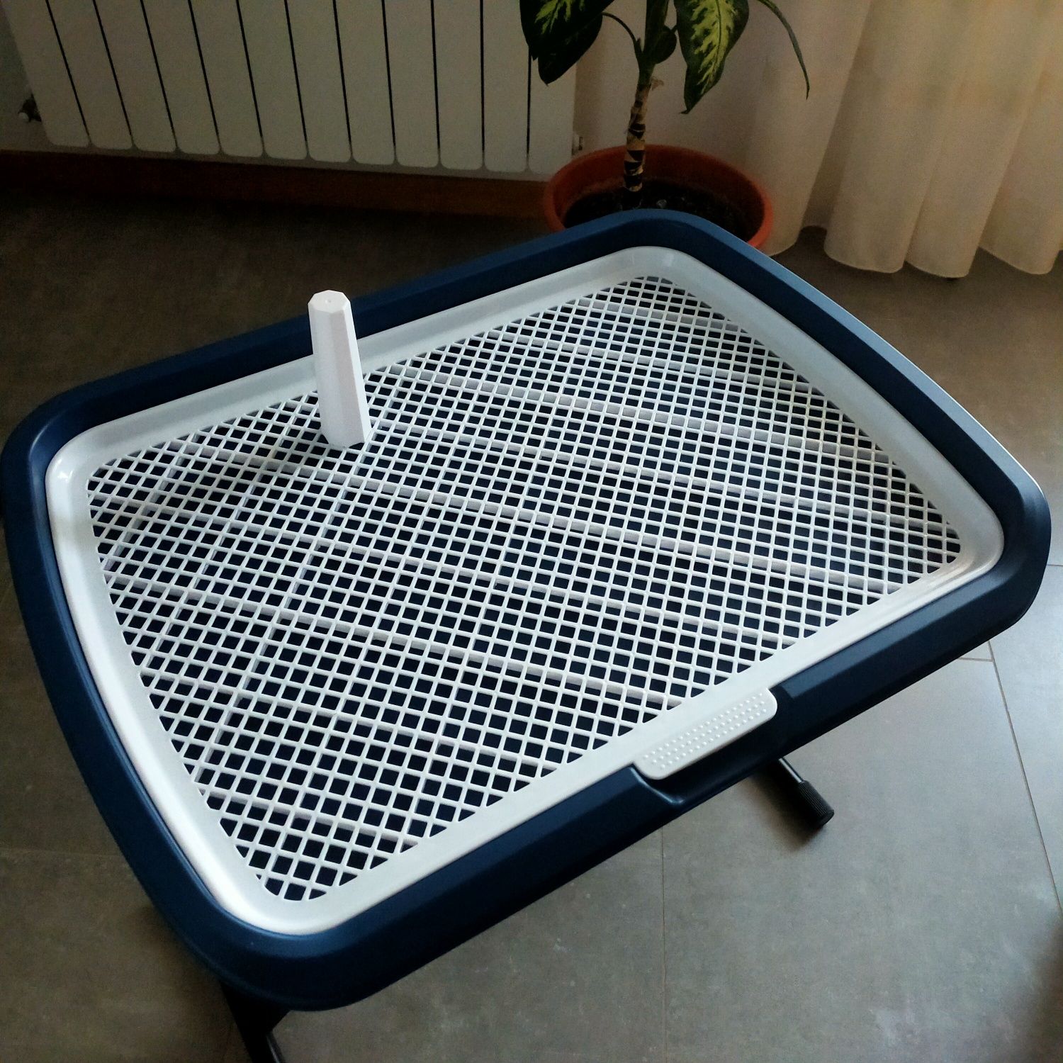 WC para cães medio porte
