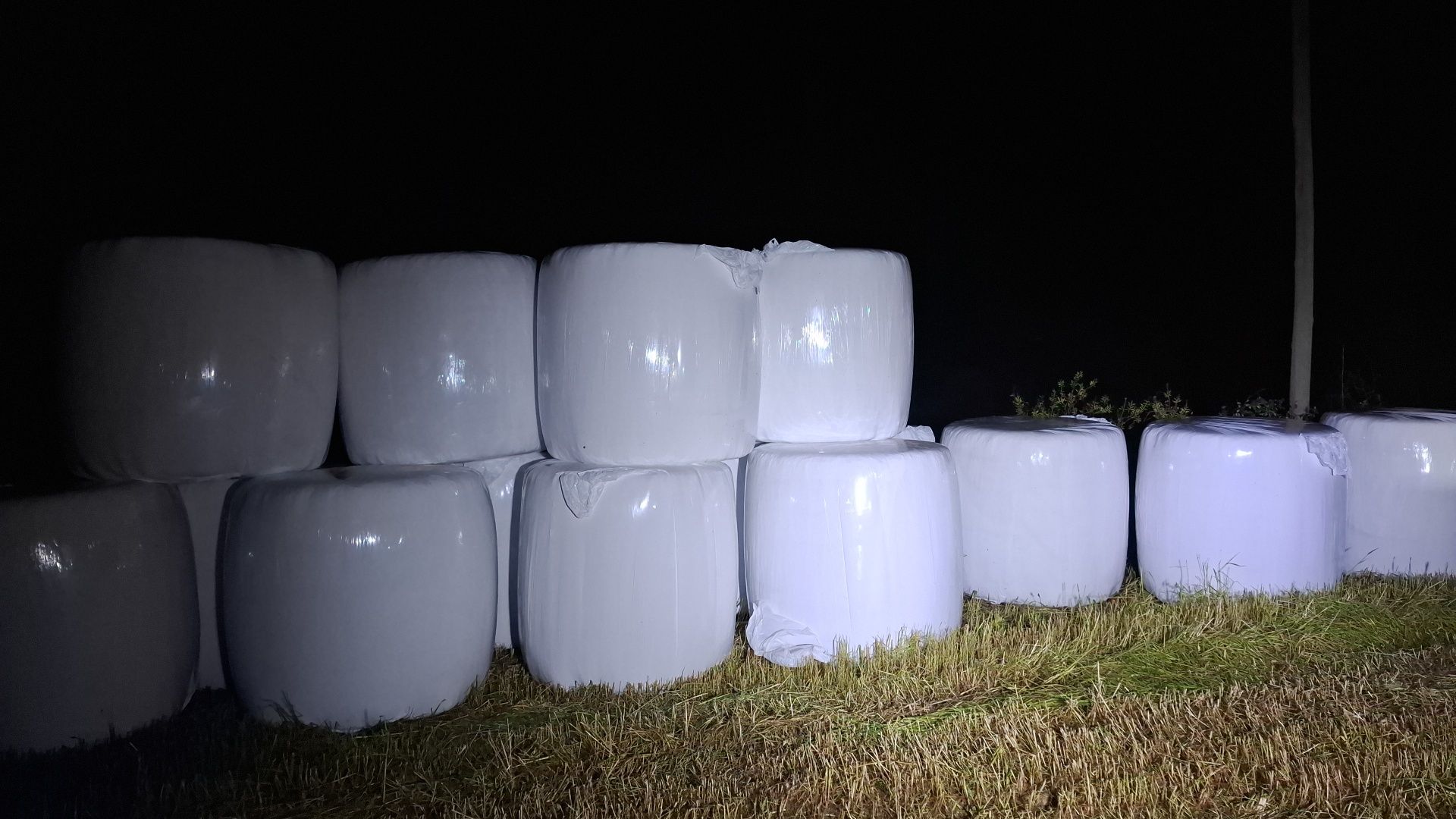 Bolas de feno silagem de azevém