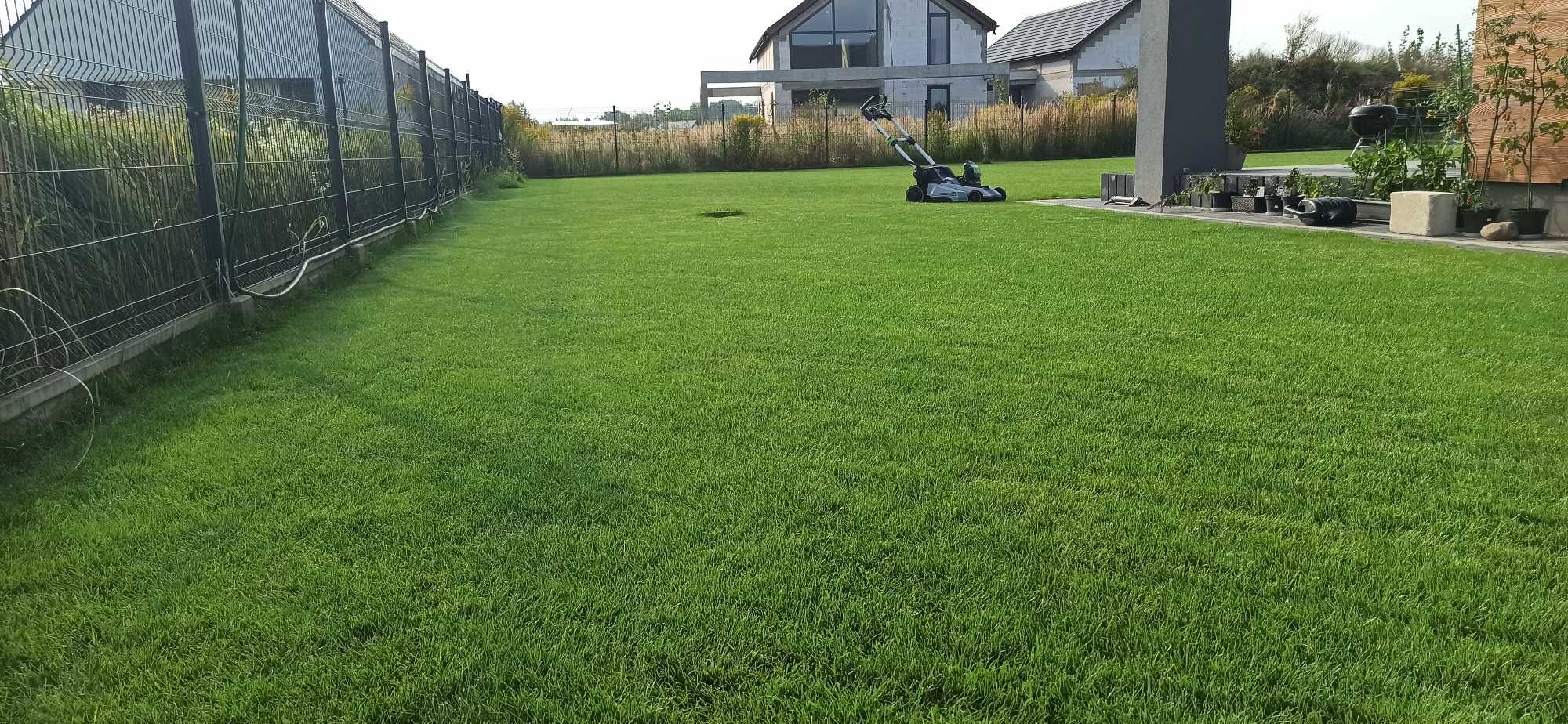 Zakładanie ogrodów/trawników Cięcie Żywopłotu Krótkie Terminy