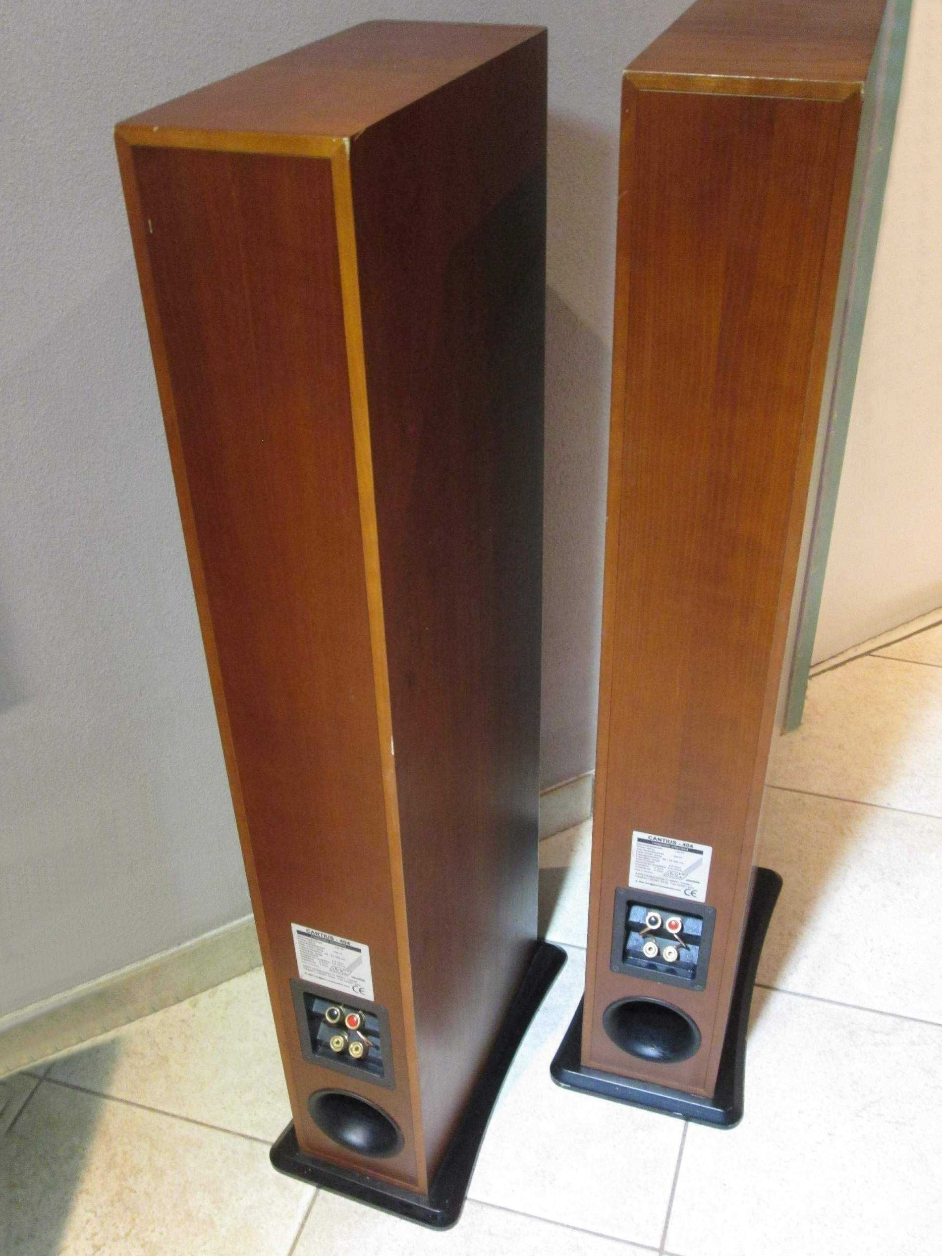 ASW Cantius 404 Germany 100/150W - Kolumny do bardzo lekkiego zadbania