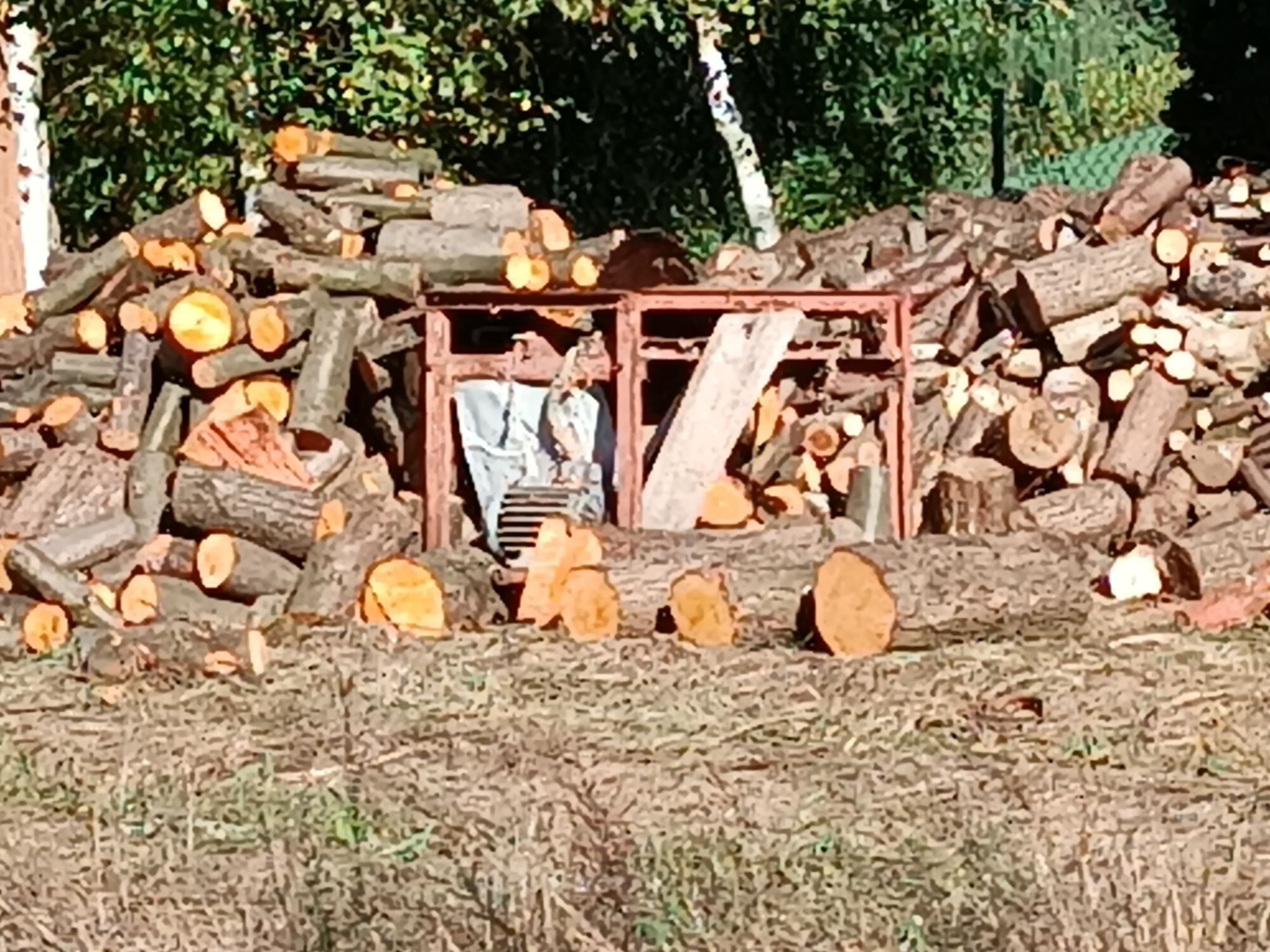 drewno kominkowe, opałowe Włocławek i okolice