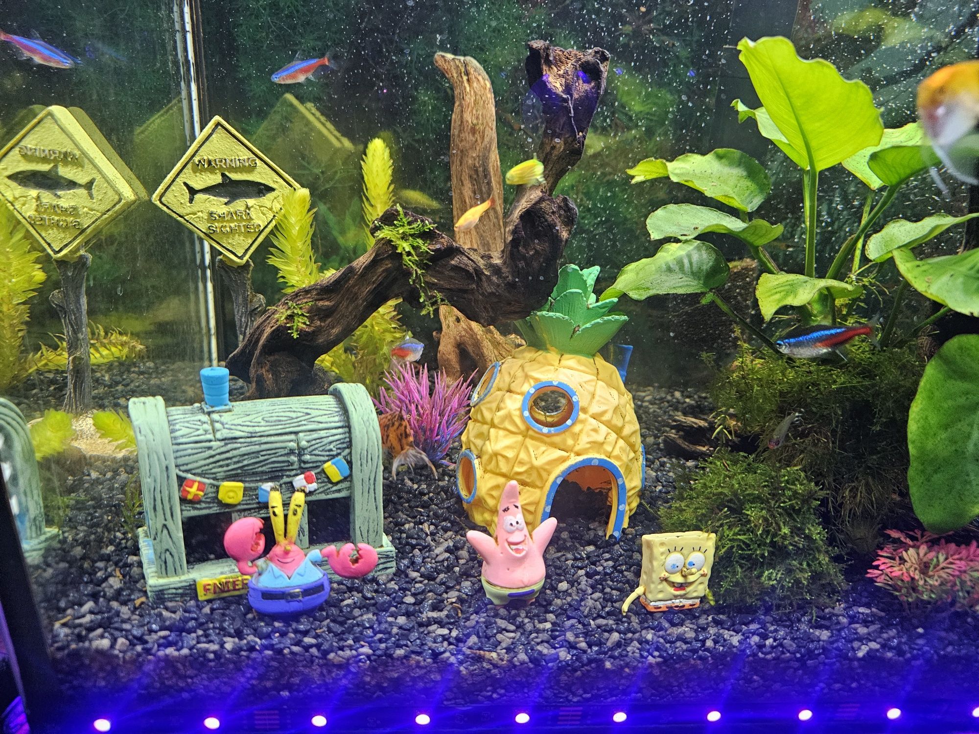 Akwarium 60x40x30 72l Cały Zestaw Mega dużo dodatków