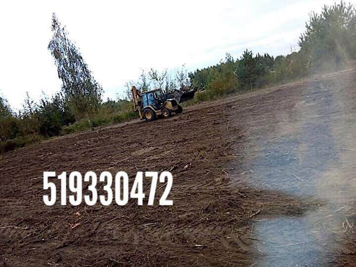 Wycinka drzew mulczowanie krzaków drzew koszenie traw czyszczenie lasu