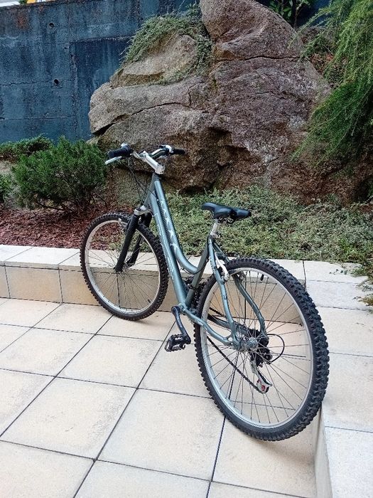 Bicicleta femenina de adulta