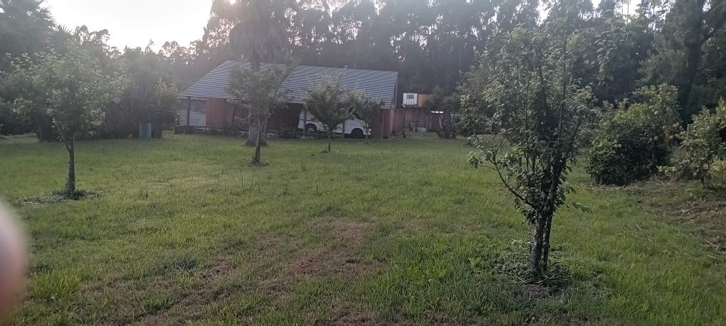 Alugo terreno, vedado ideal para criação ou treino de animais