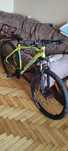Busetto pro Mtb series