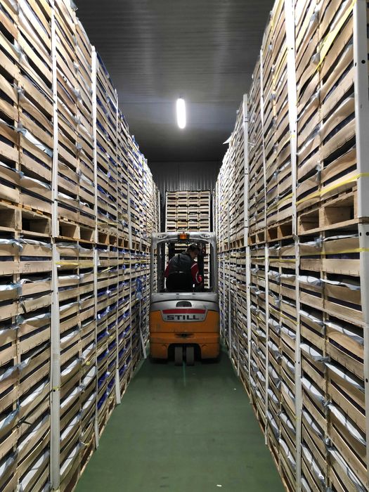 Magazyn chłodnia hala komora magazynowanie przeładunki 300 m2 Błonie