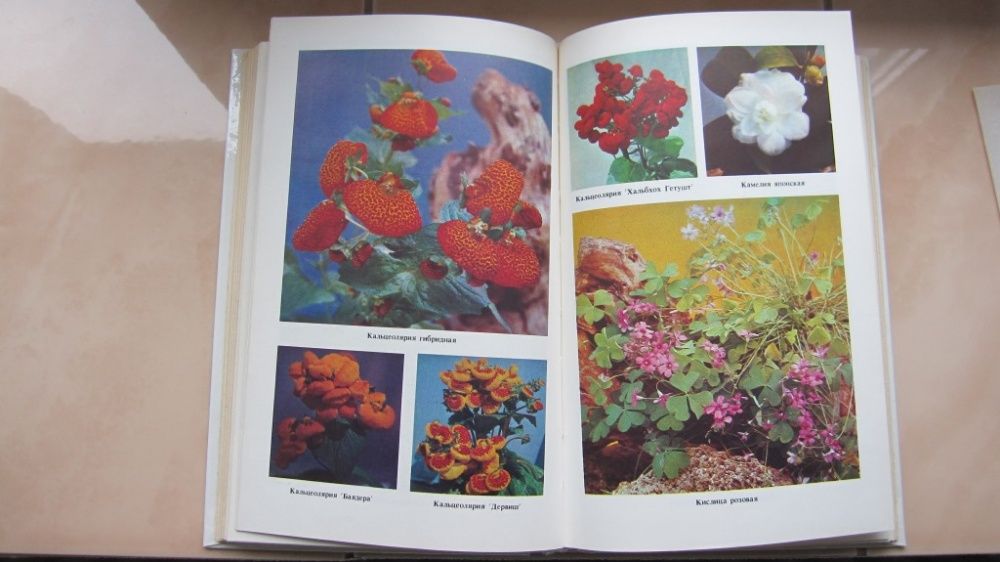 Комнатные растения цветы в квартире книга справочник