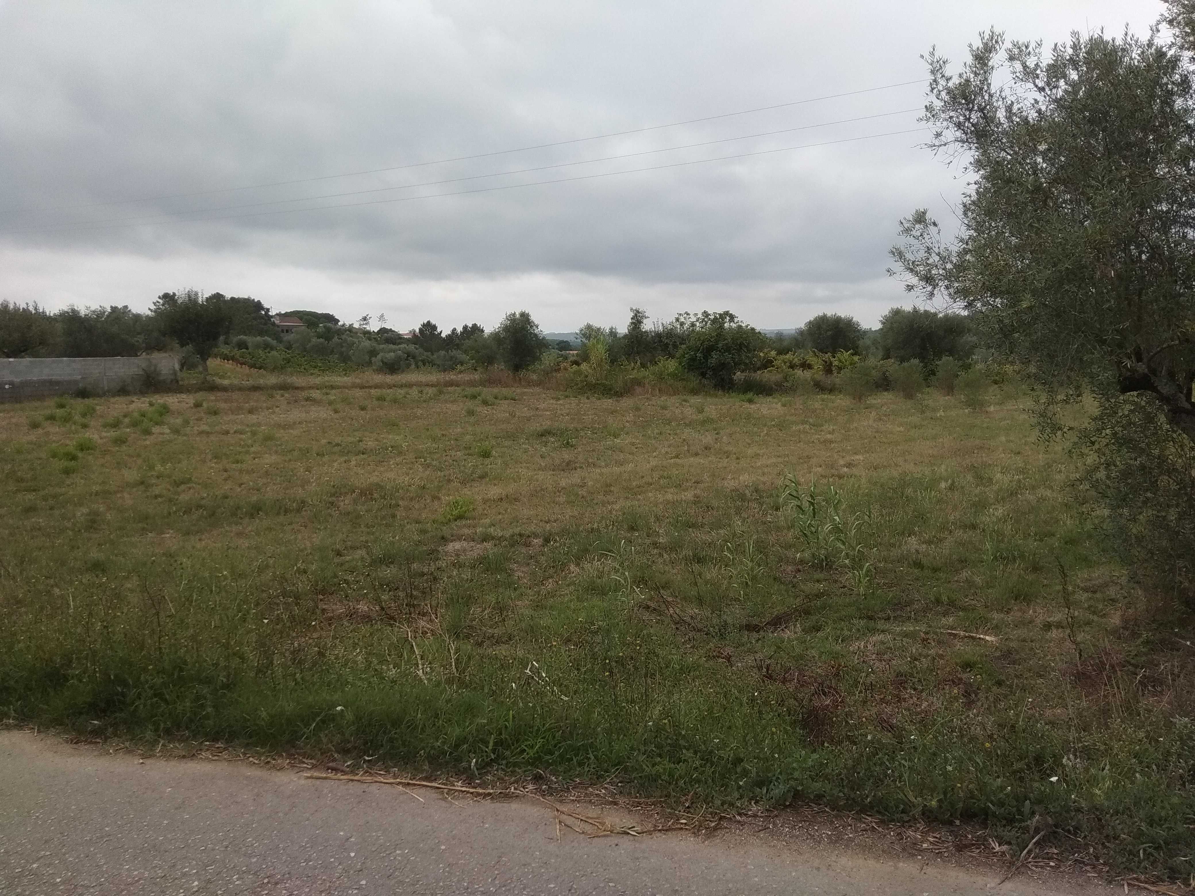 Terreno para venda entre Condeixa e Soure