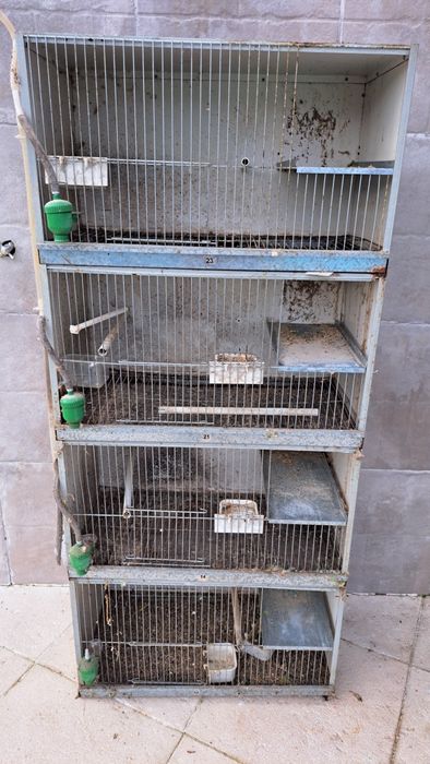 Viveiro de criação aves