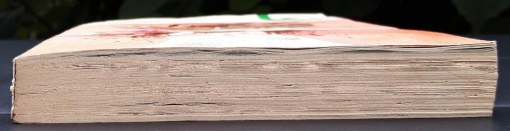 Ги де Мопассан «Новеллы» /Пышка, Два друга, Ожерелье, Наследство, Туан