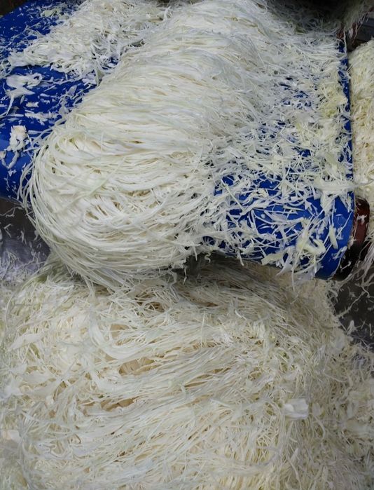 Kapusta szatkowana, Kamienna Głowa ambrozja Jaguar