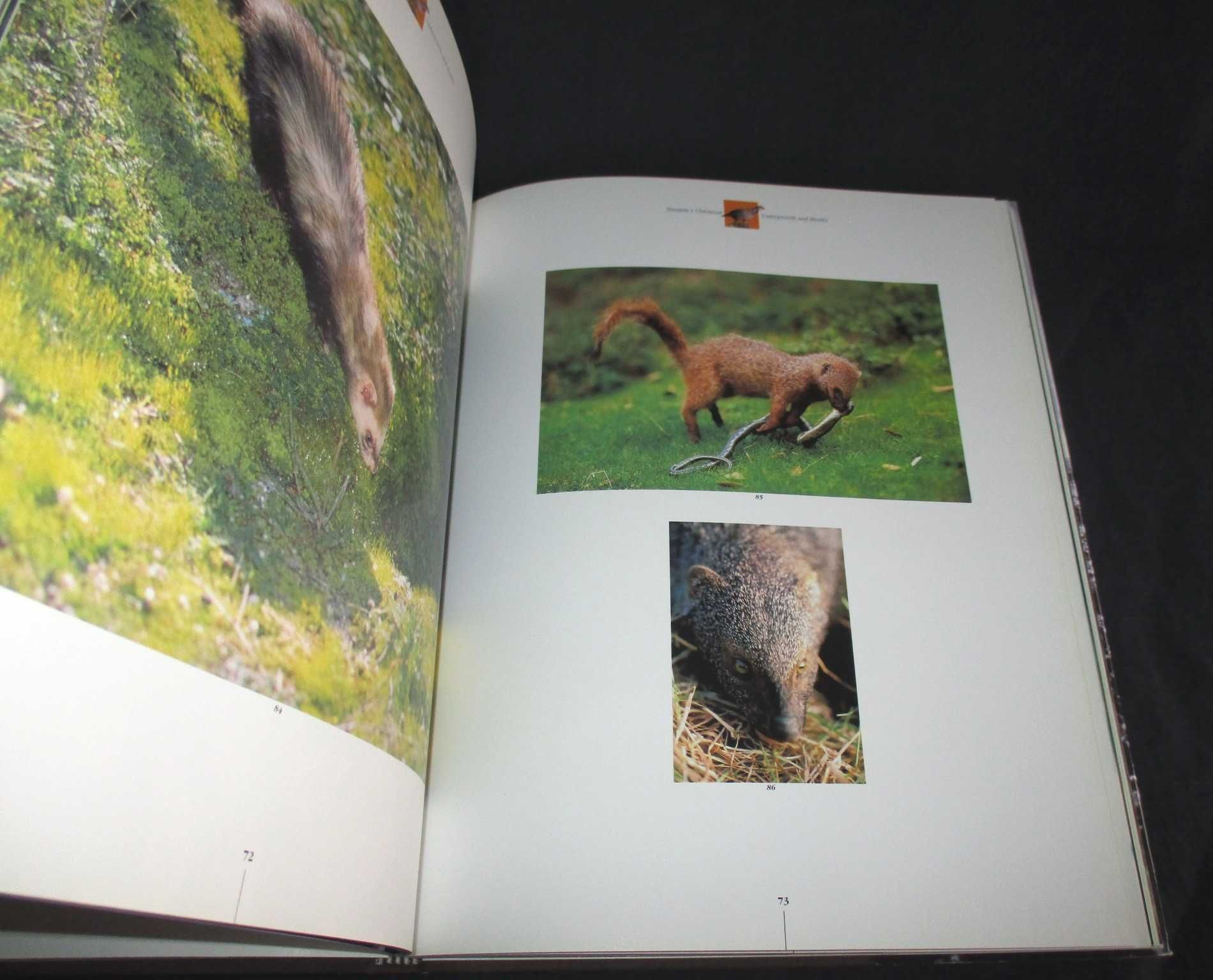 Livro Vida Selvagem de Portugal Wildlife Paulo de Oliveira Inapa