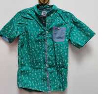 Szmaragdowa zielona niebieska koszulka z krótkim rękawem