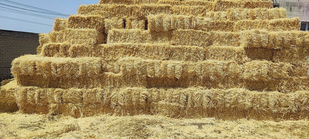 Ячмінь, пшениця, солома, доставка до двору.