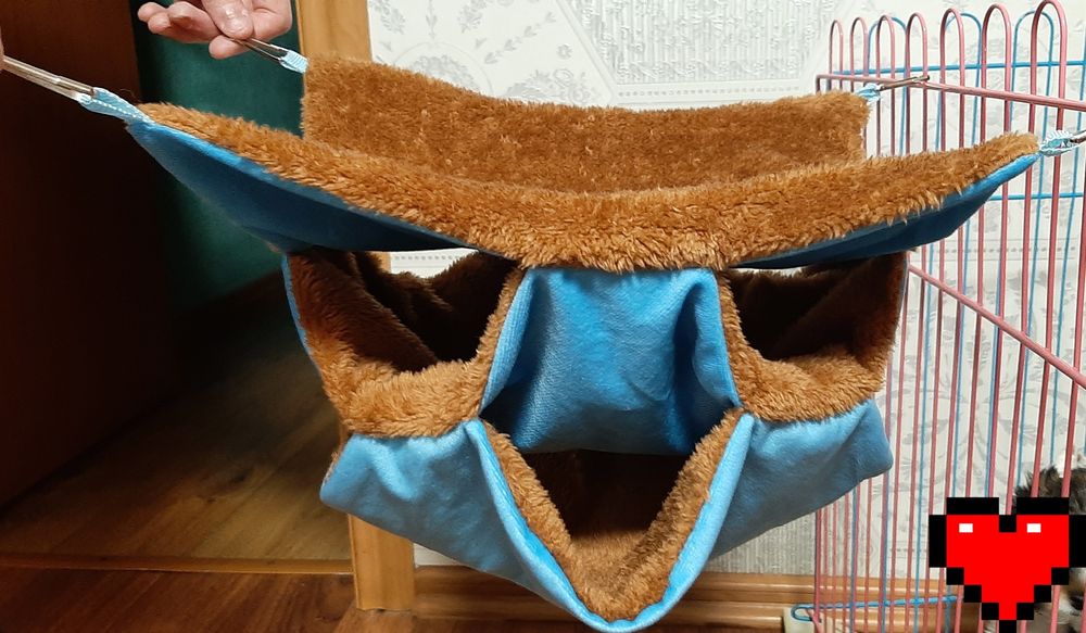 Щур, крыса, криса Дамбо Хаскі,  різні кольори  + клітка, гамак