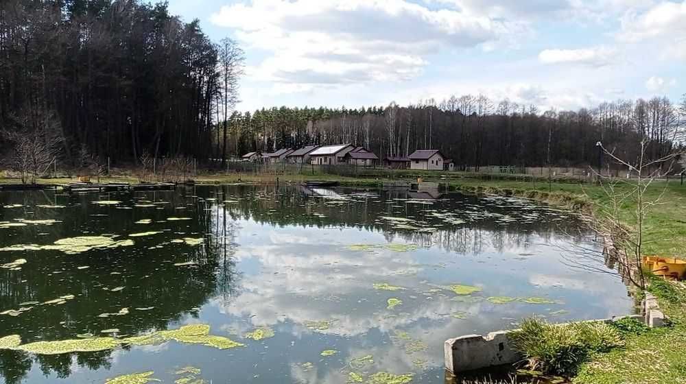 Sala do wynajęcia Andrzejki, Sylwester, eventy, urodziny, chrzciny