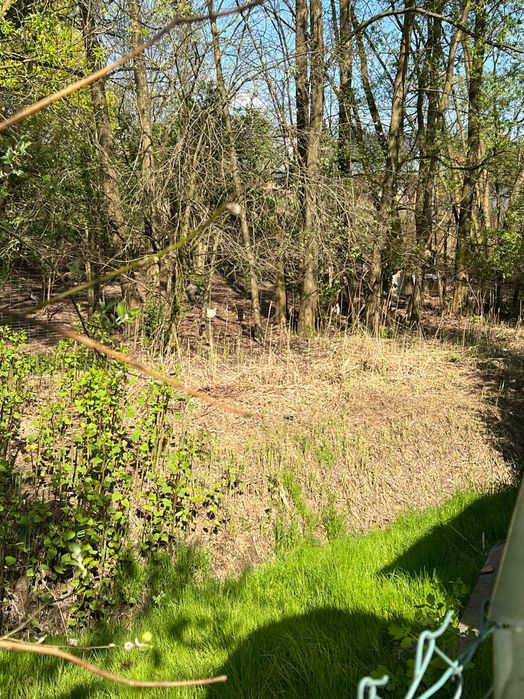 Eko Jaka swojskie z naturalnego howu bez paszy